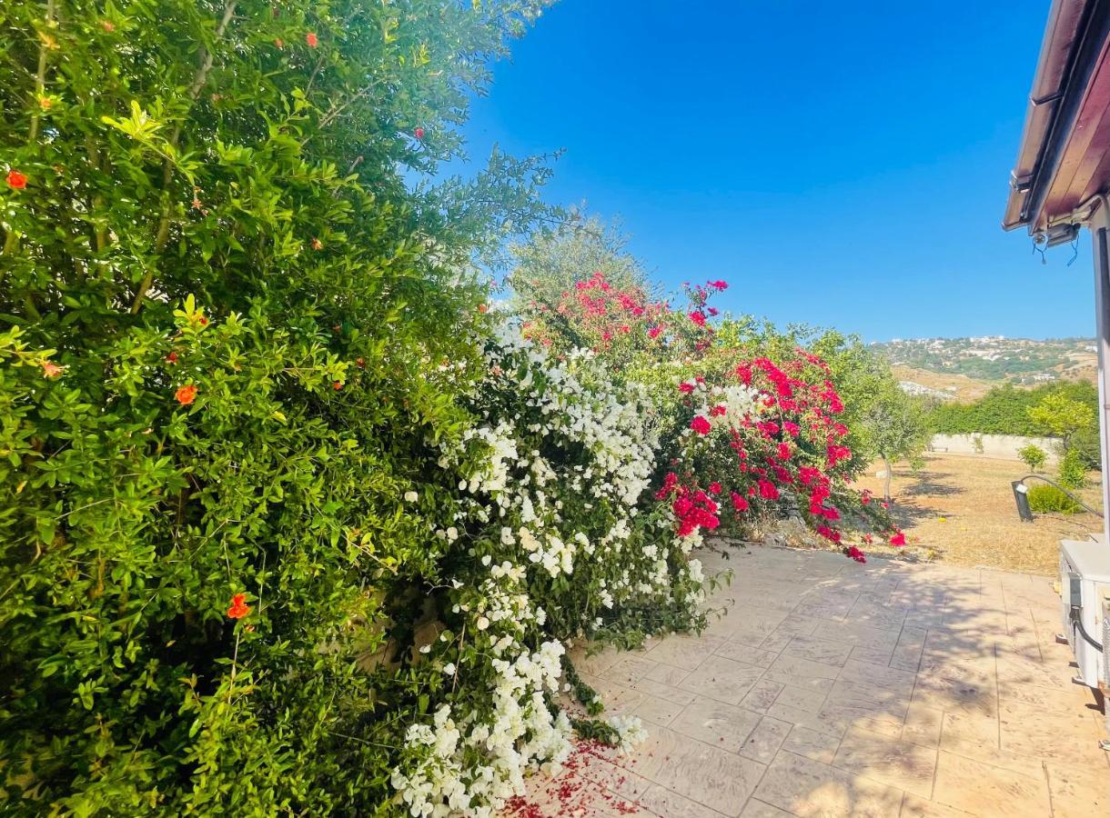 Beautiful Home Paphos Eksteriør bilde